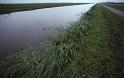 WT 249-20 Netherlands Flatness